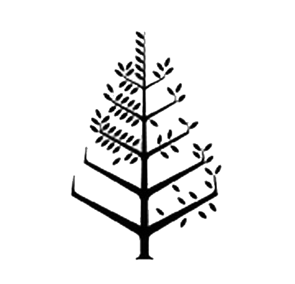 Four Seasons Hotel Tunis Logo